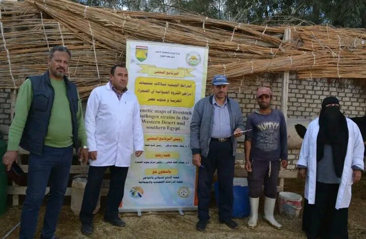بحوث الصحراء يطلق قوافل بيطرية لدعم مربي الثروة الحيوانية