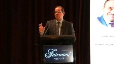 أحمد كجوك، وزير المالية