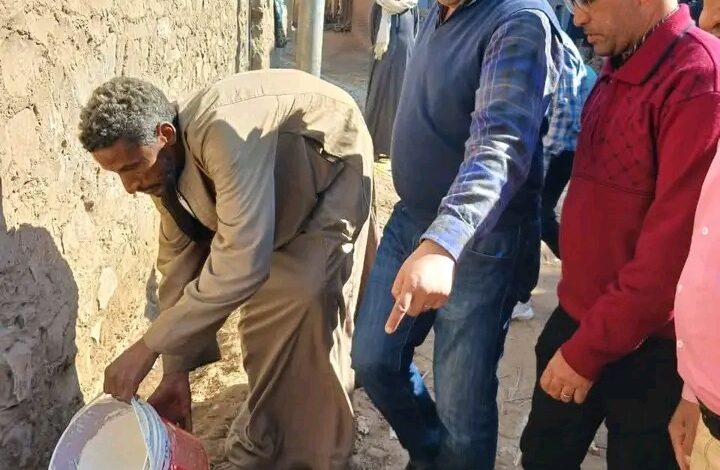 حملات مكافحة النمل الأبيض