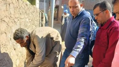 حملات مكافحة النمل الأبيض