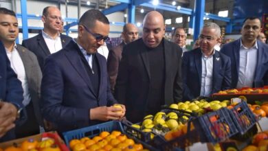 جانب من الجولة التفقدية