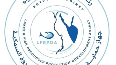 جهاز حماية وتنمية البحيرات والثروة السمكية