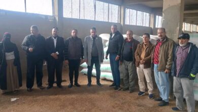 جانب من الجولات الميدانية