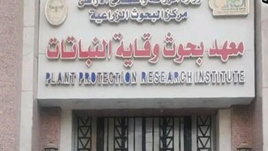 معهد بحوث وقاية النباتات