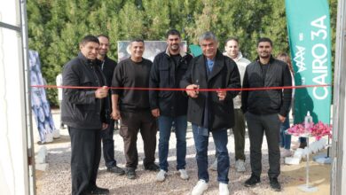 Cairo 3A Launches Phase One of Egypt’s Largest Blueberry Farm