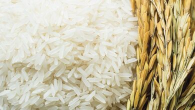 سعر طن الأرز