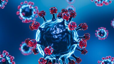 ناقوس الخطر يدق في الهند.. تفشي فيروس «نيباه» القاتل بين الأطقم الطبية وحجر صحي للمئات