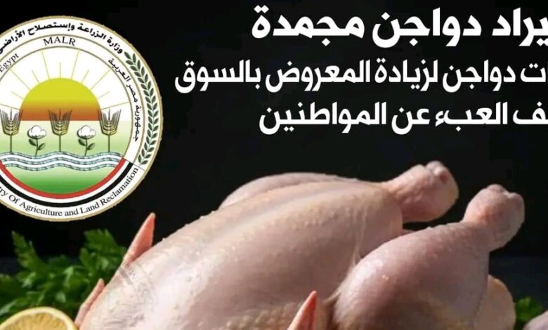 خطة حكومية لضبط أسعار الدواجن قبل رمضان