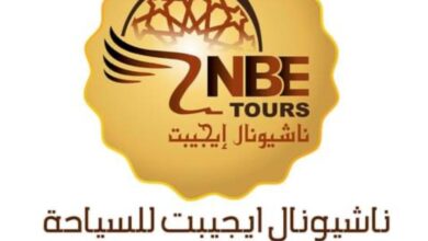 شركة ناشيونال ايجيبت للسياحة