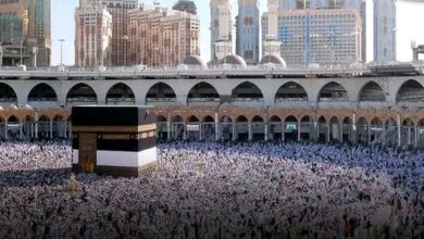 حقيقة إيقاف شركات السياحة المصرية على منصة نسك