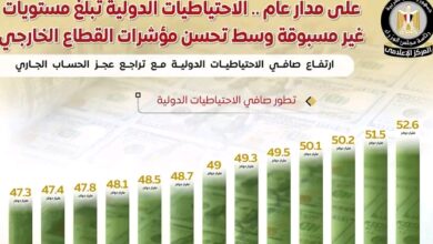تسجيل الاحتياطيات الدولية لمصر مستويات غير مسبوقة