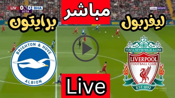 مباراة ليفربول وبرايتون