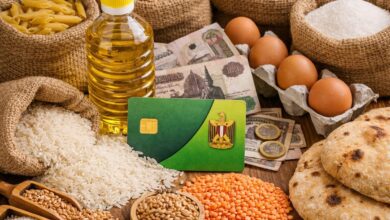 400 جنيه على بطاقة التموين.. موعد صرف منحة رمضان 2026 وآلية التنفيذ.