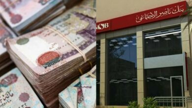 استثمر 50 ألف جنيه واربح شهرياً.. كل ما تريد معرفته عن شهادة رد الجميل