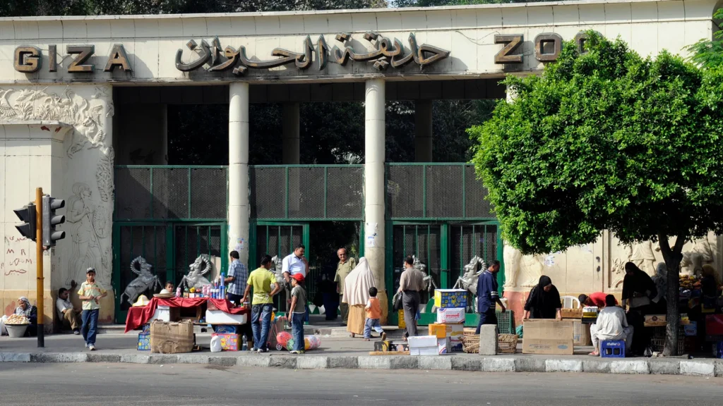 بعد التطوير العالمي.. متى تفتح حديقة الحيوان بالجيزة أبوابها للجمهور؟