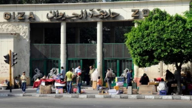 بعد التطوير العالمي.. متى تفتح حديقة الحيوان بالجيزة أبوابها للجمهور؟