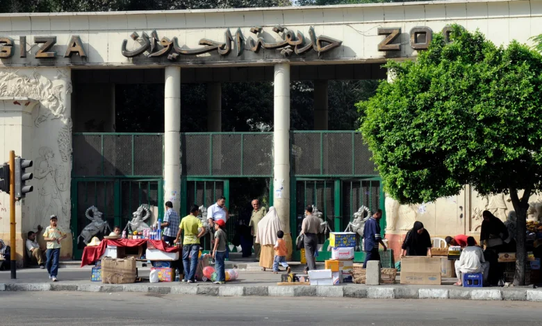 بعد التطوير العالمي.. متى تفتح حديقة الحيوان بالجيزة أبوابها للجمهور؟