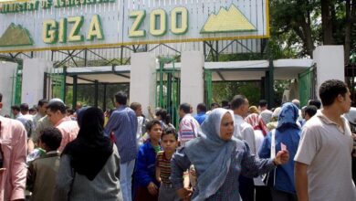 رسمياً.. موعد افتتاح حديقة الحيوان بالجيزة 2026 وتفاصيل ممر الربط بالأورمان