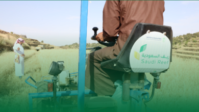 بالخطوات.. طريقة الاستعلام عن دعم ريف في السعودية وتوقيت إيداع المبالغ