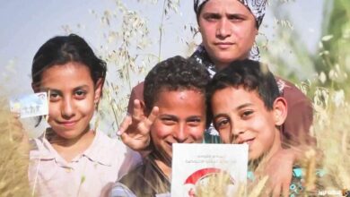 بالتفاصيل.. كيفية الحصول على معاش الطفل 2026 والشروط والأوراق المطلوبة