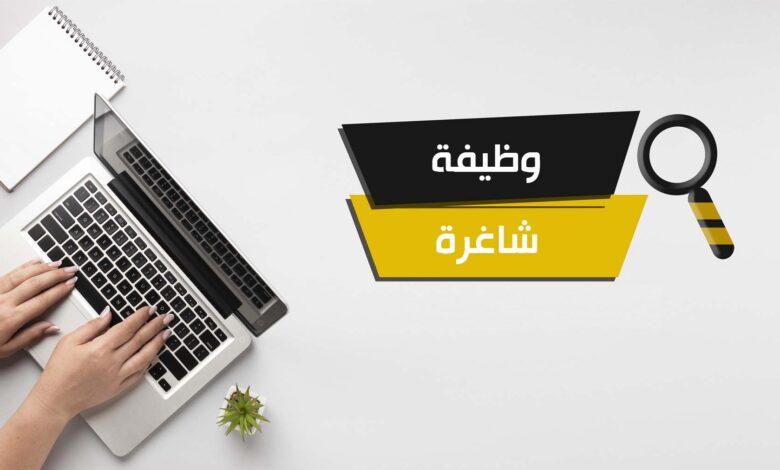 للباحثين عن عمل.. 8 شروط للتعيين في الوظائف الحكومية الجديدة وفقاً للقانون