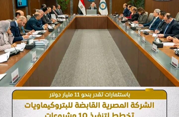 الشركة المصرية القابضة للبتروكيماويات