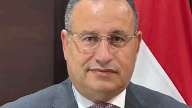 د. عبدالعزيز قنصوة وزير التعليم العالي