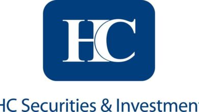HC Securities & Investment
