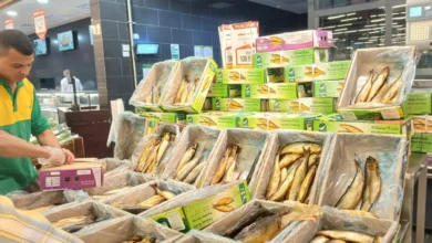 أسعار الرنجة والفسيخ في الأسواق: تبدأ من 110 جنيهات.. وهذا سعر الكيلو الفاخر