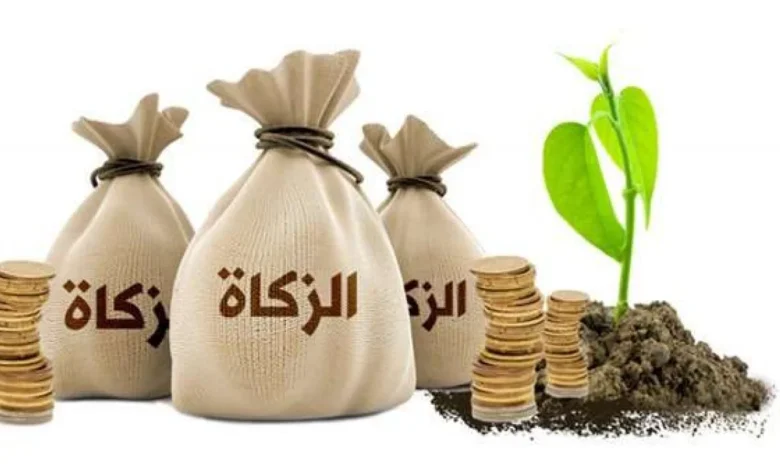زكاة الفطر 1447 هـ.. الإفتاء توضح الفئات المستحقة وقيمة الفدية وموعد الإخراج النهائي