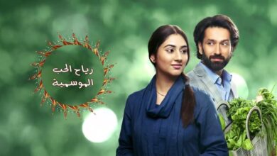 مسلسل رياح الحب