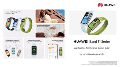 the HUAWEI Band 11 series in the Egyptian market