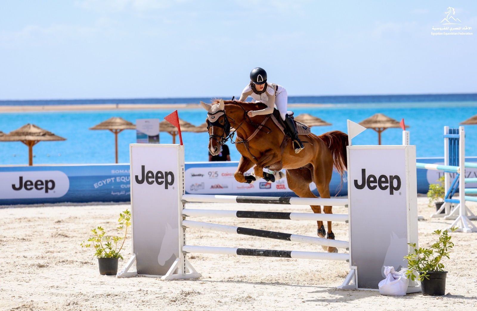 Jeep® وAlfa Romeo ترعيان كأس مصر للفروسية 2026