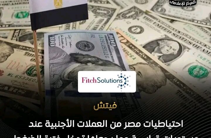 تقرير فيتش