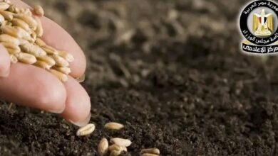 وزارة الزراعة تحذر من التقاوي المجهولة
