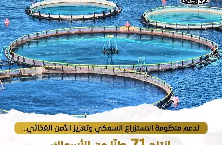 إنتاج 71 طنًا من الأسماك بمزارعي المنزلة وبرسيق