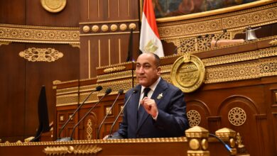 النائب عمرو رشاد، عضو مجلس الشيوخ