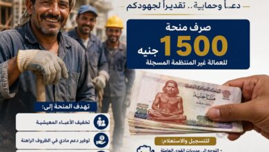 رابط الاستعلام عن منحة العمالة غير المنتظمة 2026 بالرقم القومي.. صرف 1500 جنيه